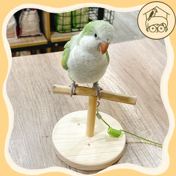 台灣手作蘋果樹系列｜可拆式秤重小站台【鸚鵡小木屋】 