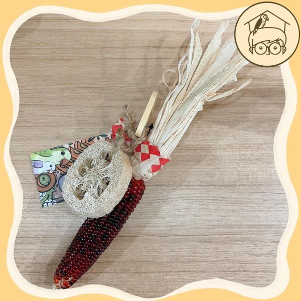 台產迷你小玉米｜絲瓜｜吃吃啃啃咬咬串【鸚鵡小木屋】 