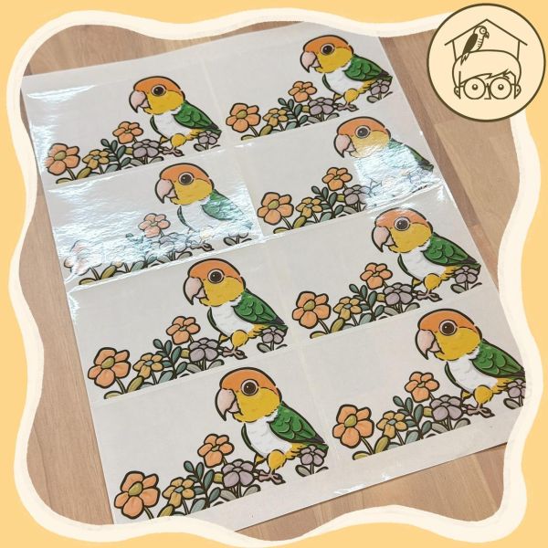 手繪｜鸚鵡造型插座貼紙【鸚鵡小木屋】 