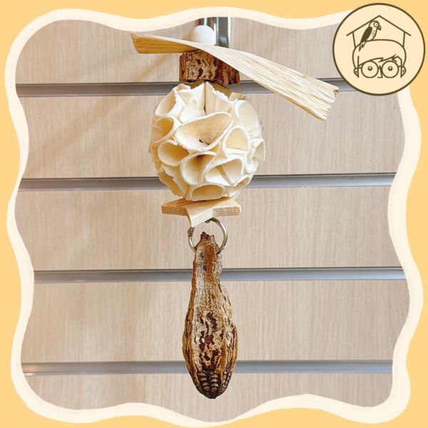 通草球桃花心木啃咬串【鸚鵡小木屋】 