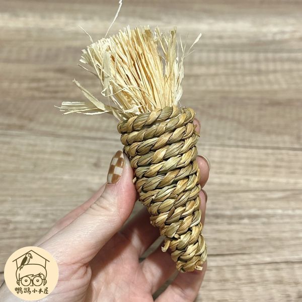 三入組茄子蘿蔔都想要!鸚鵡手抓肌力訓練玩具【鸚鵡小木屋】 