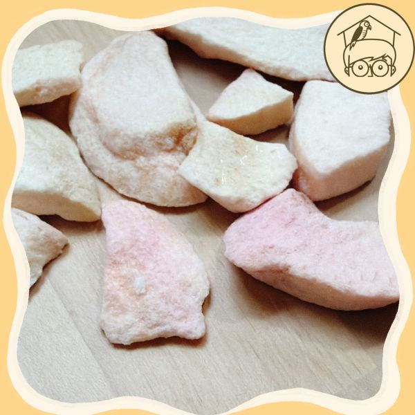 台灣｜蔬果凍乾點心區【鸚鵡小木屋】【純天然蔬果凍乾】鳥寶最愛的酥脆零食！ 