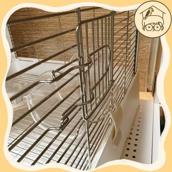 透明壓克力防潑灑食盒【鸚鵡小木屋】 