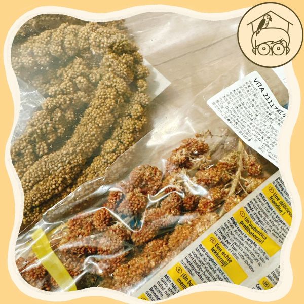 《小木屋認證》中小型鸚鵡零食「純天然小米穗」 