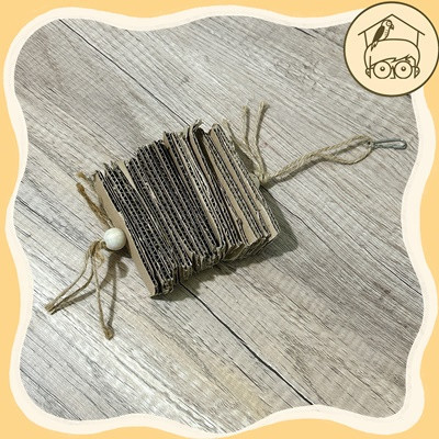 抵擋不了紙板的誘惑啃咬串【鸚鵡小木屋】 