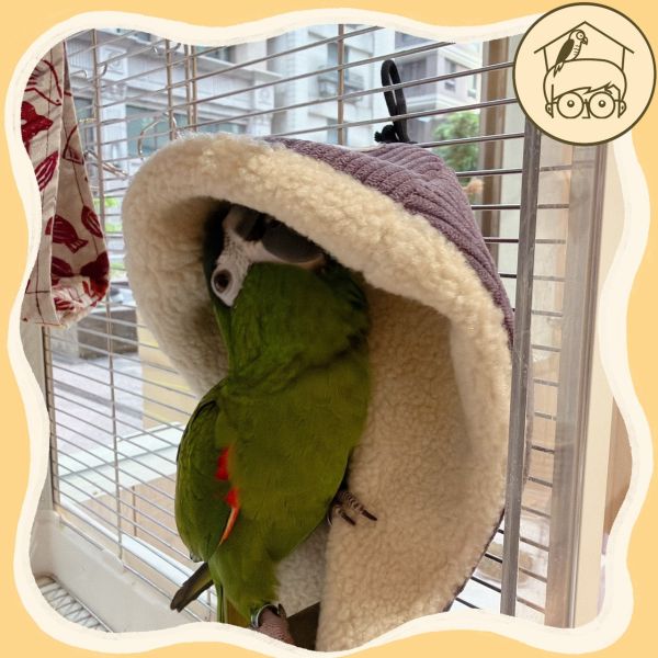 台灣手作｜高品質｜燈芯絨溫馨角落毯毯【鸚鵡小木屋】 