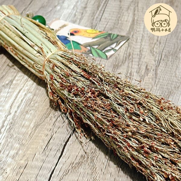 玄鳳最愛的高粱苗｜中小型鸚鵡啃咬玩具【鸚鵡小木屋】 