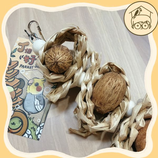 三顆甜甜圈墨魚骨、木芒果果實串【鸚鵡小木屋】 