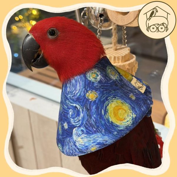 嚴選日本布鸚鵡防咬頭套【鸚鵡小木屋】 