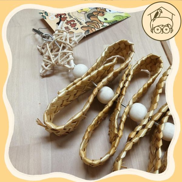 蝴蝶蝴蝶生的真美麗【鸚鵡小木屋】 