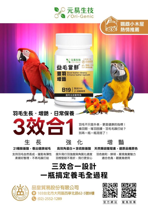 益毛當鮮｜鸚鵡羽毛最佳保健｜益毛不拔進階版 