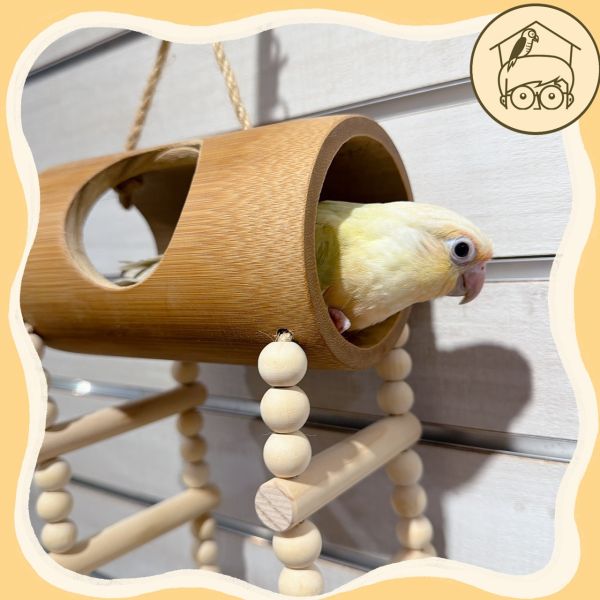 台灣手作蘋果樹系列｜趣味吊掛躲藏竹筒【鸚鵡小木屋】 