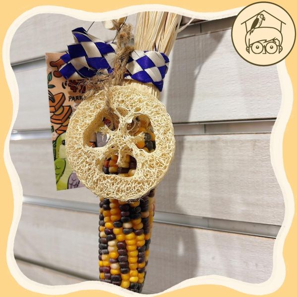 台產迷你小玉米｜絲瓜｜吃吃啃啃咬咬串【鸚鵡小木屋】 