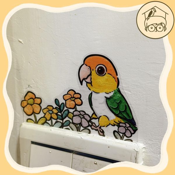 手繪｜鸚鵡造型插座貼紙【鸚鵡小木屋】 