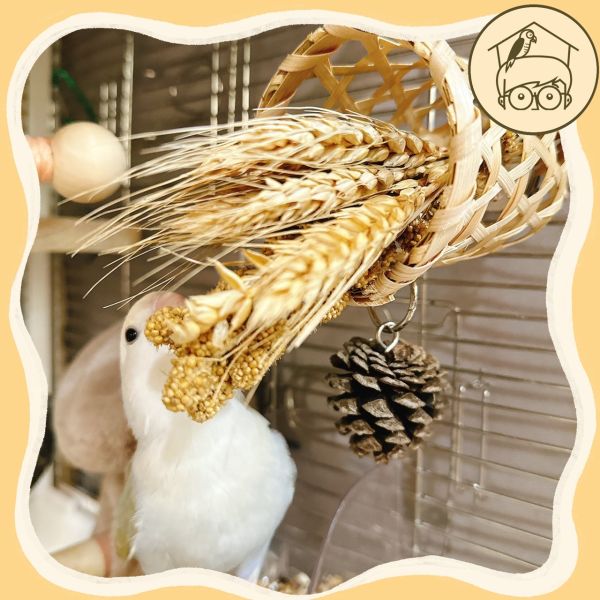 稻穗竹編小花籃【鸚鵡小木屋】 