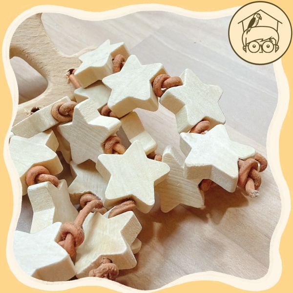 鸚鵡啃咬玩具｜五芒星的祝福【鸚鵡小木屋】 