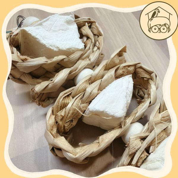 三顆甜甜圈墨魚骨、木芒果果實串【鸚鵡小木屋】 