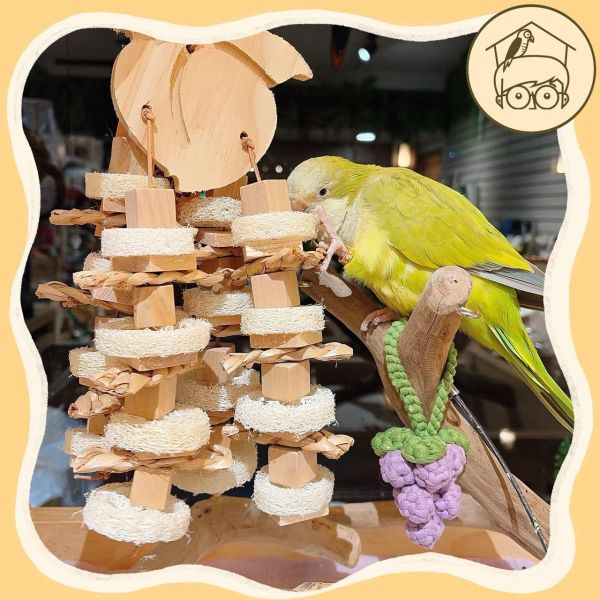 原木蕃茄、桃子大串木塊啃咬串【鸚鵡小木屋】 