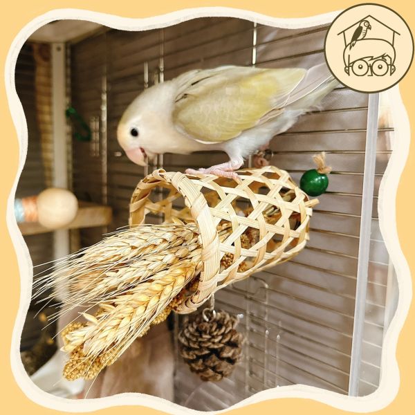 稻穗竹編小花籃【鸚鵡小木屋】 