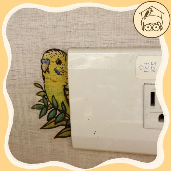 手繪｜鸚鵡造型插座貼紙【鸚鵡小木屋】 