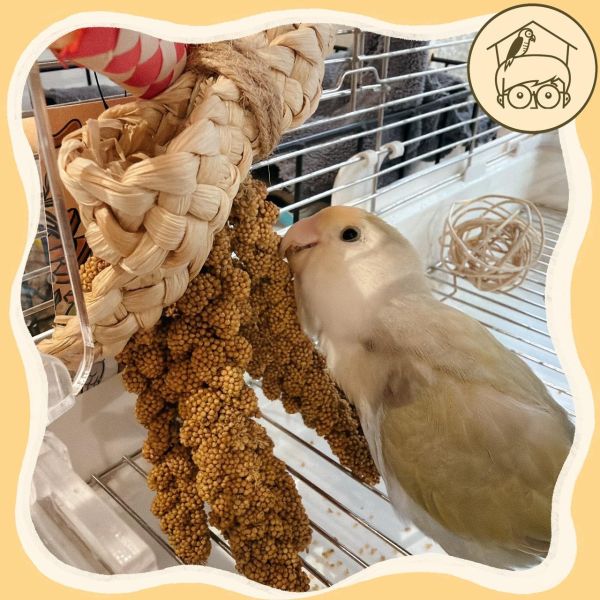 台製｜手作｜穗稻夏舞串｜鳥寶最愛小點心玩具【鸚鵡小木屋】 