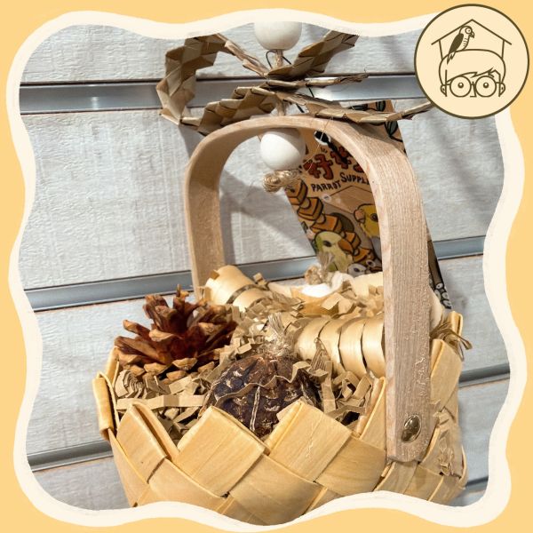 豐富松塔紙絲小禮物花籃【鸚鵡小木屋】 