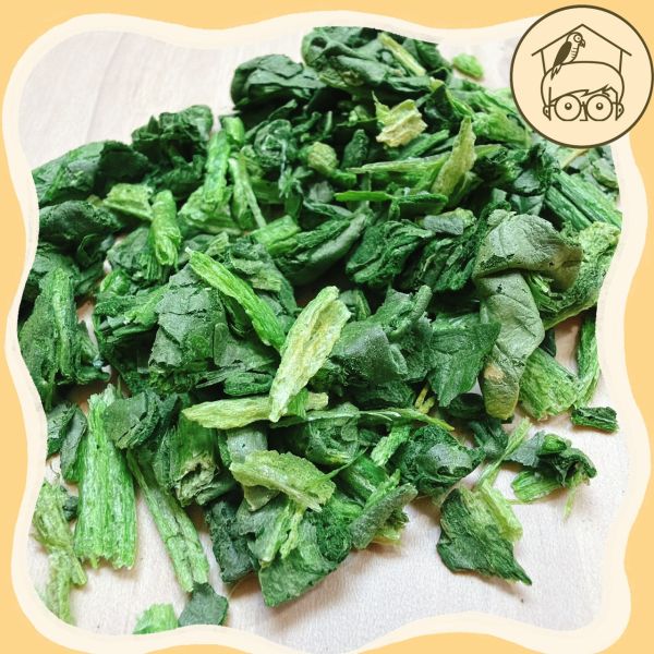 台灣｜蔬果凍乾點心區【鸚鵡小木屋】【純天然蔬果凍乾】鳥寶最愛的酥脆零食！ 