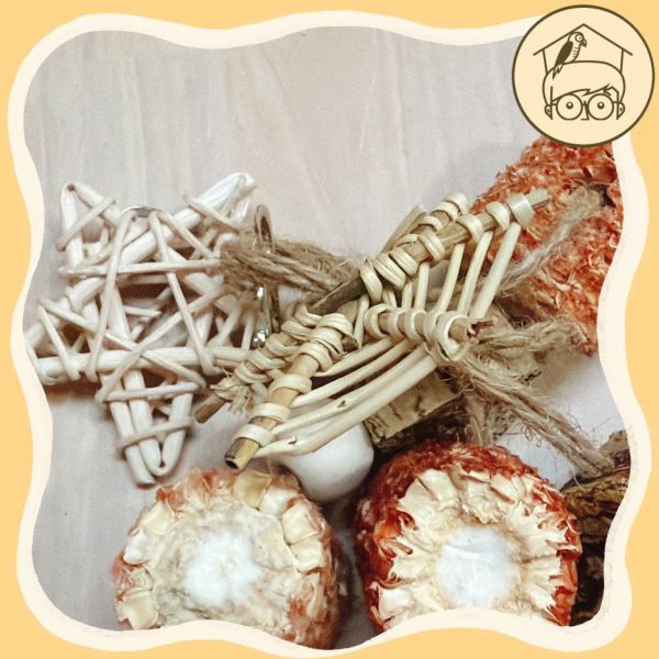 星星小帽果實串【鸚鵡小木屋】 