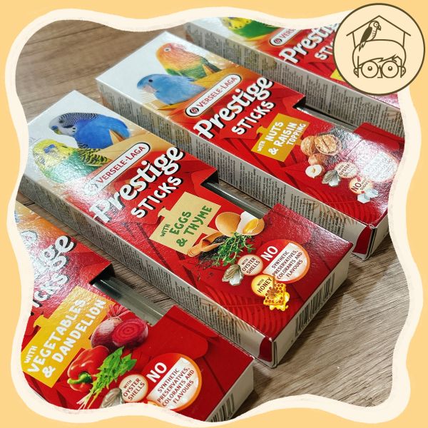 比利時凡賽爾點心棒｜鸚鵡小木屋 