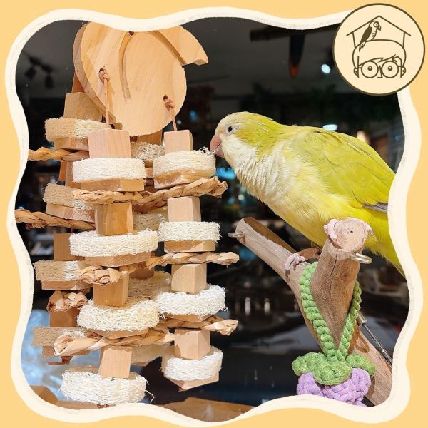 原木蕃茄、桃子大串木塊啃咬串【鸚鵡小木屋】 