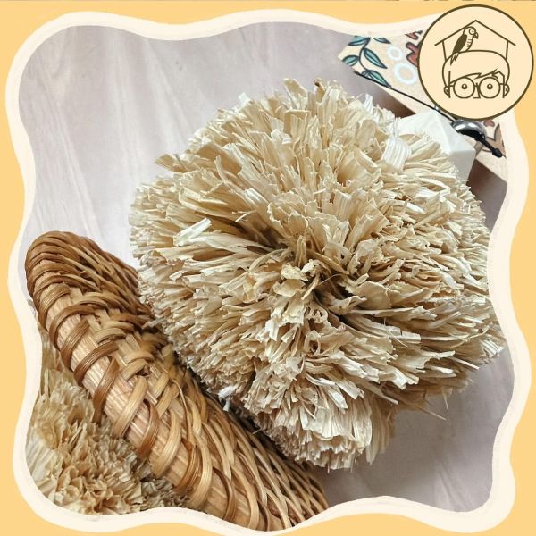 菈非草啃咬漢堡串【鸚鵡小木屋】 