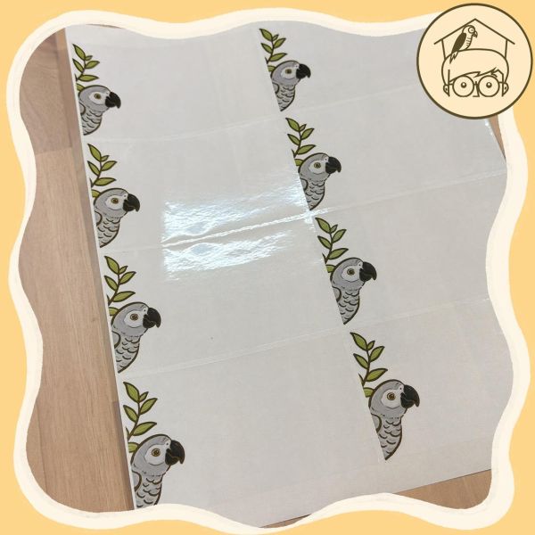 手繪｜鸚鵡造型插座貼紙【鸚鵡小木屋】 