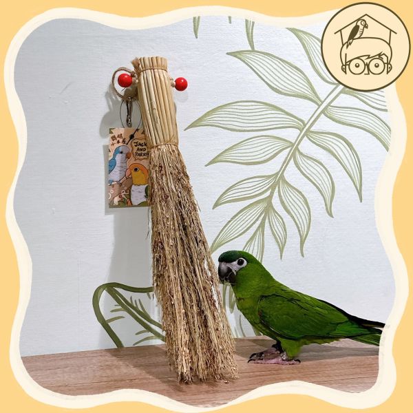 玄鳳最愛的高粱苗｜中小型鸚鵡啃咬玩具【鸚鵡小木屋】 
