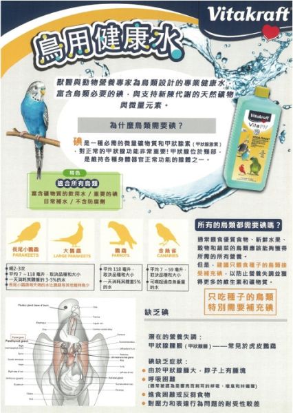 VITA鳥用每日所需健康水【鸚鵡小木屋】 