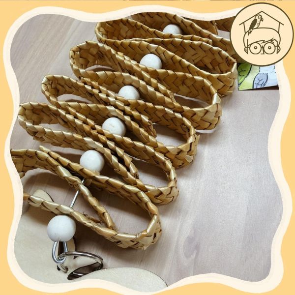 蝴蝶蝴蝶生的真美麗【鸚鵡小木屋】 