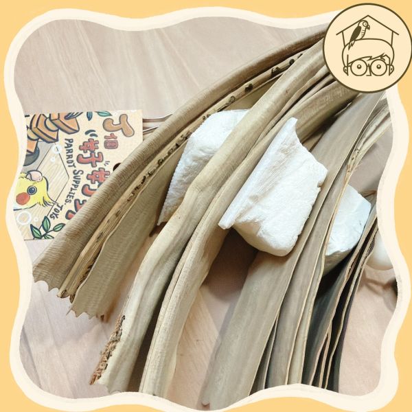 棕梠葉墨魚骨補鈣啃咬串【鸚鵡小木屋】 
