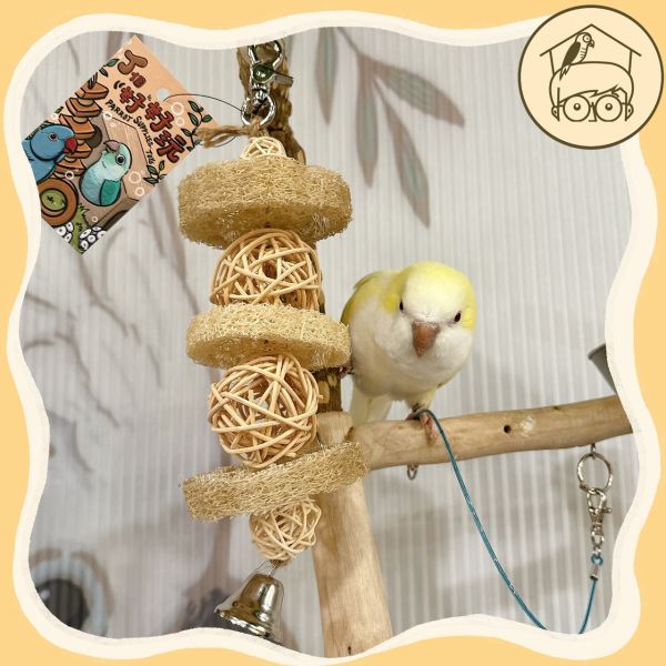 鳥寶最愛玩的藤球、絲瓜絡串！【鸚鵡小木屋】 