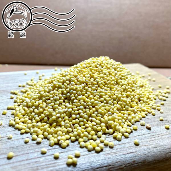 無殼小米仁 