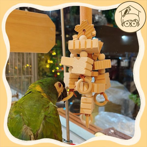 木塊派對！圈圈小花~中大型超愛木塊串【鸚鵡小木屋】 