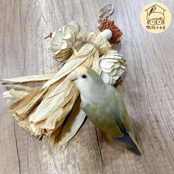 玉米葉精緻木琁花｜中小型鸚鵡啃咬玩具【鸚鵡小木屋】 