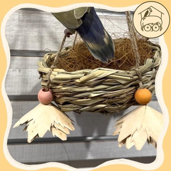 一碗鳥巢小窩鞦韆【鸚鵡小木屋】 