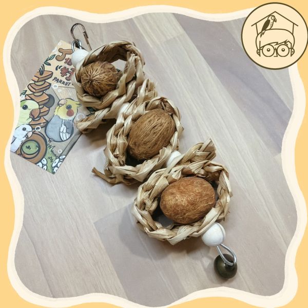 三顆甜甜圈墨魚骨、木芒果果實串【鸚鵡小木屋】 