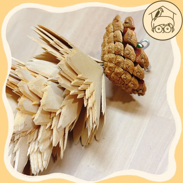 耐啃咬木片小樹咬咬串【鸚鵡小木屋】 