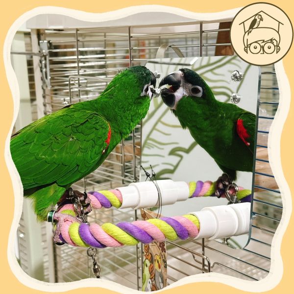 鳥鳥愛漂亮麻繩鏡面站棍組【鸚鵡小木屋】 