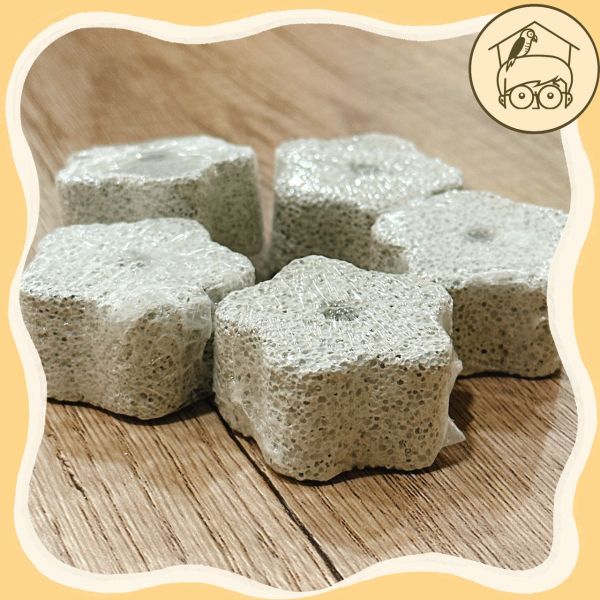 梅花磨牙火山岩樂串【鸚鵡小木屋】 