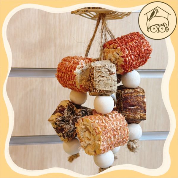 星星小帽果實串【鸚鵡小木屋】 