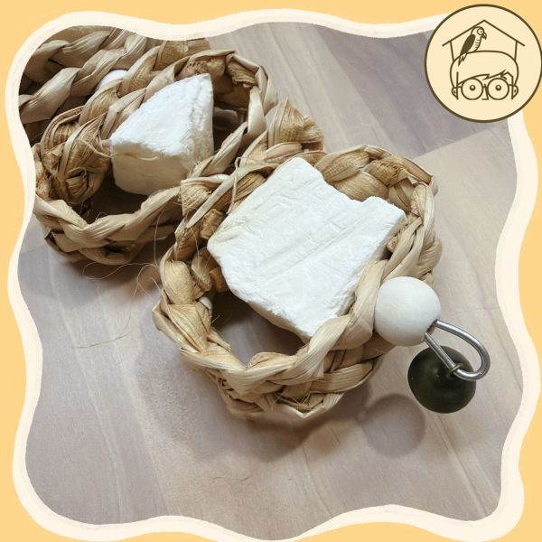 三顆甜甜圈墨魚骨、木芒果果實串【鸚鵡小木屋】 