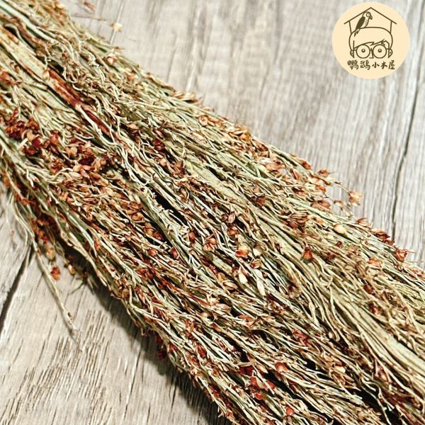玄鳳最愛的高粱苗｜中小型鸚鵡啃咬玩具【鸚鵡小木屋】 