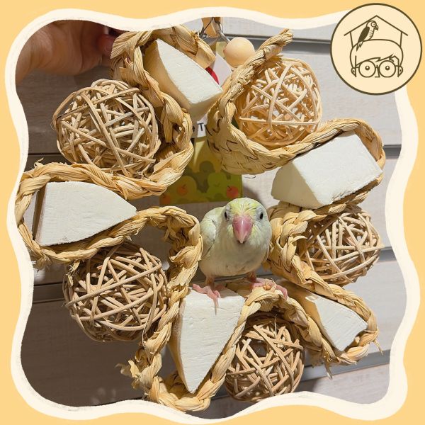 台灣手作蘋果樹系列｜森森藤球小花圈【鸚鵡小木屋】 