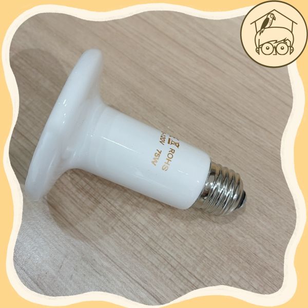 《過冬必品》安全防咬保溫燈！《鸚鵡小木屋認證》鳥用品 